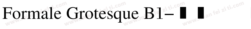 Formale Grotesque B1字体转换